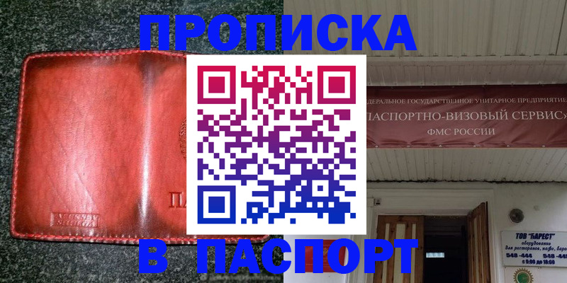 временная прописка в Болотном